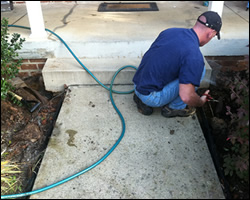 Dead animal removal Amherst VA