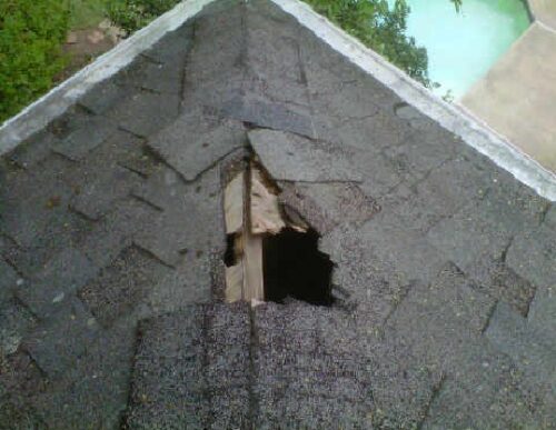 A hole in the roof caused by a raccoon